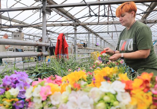 Russia Flower Growing