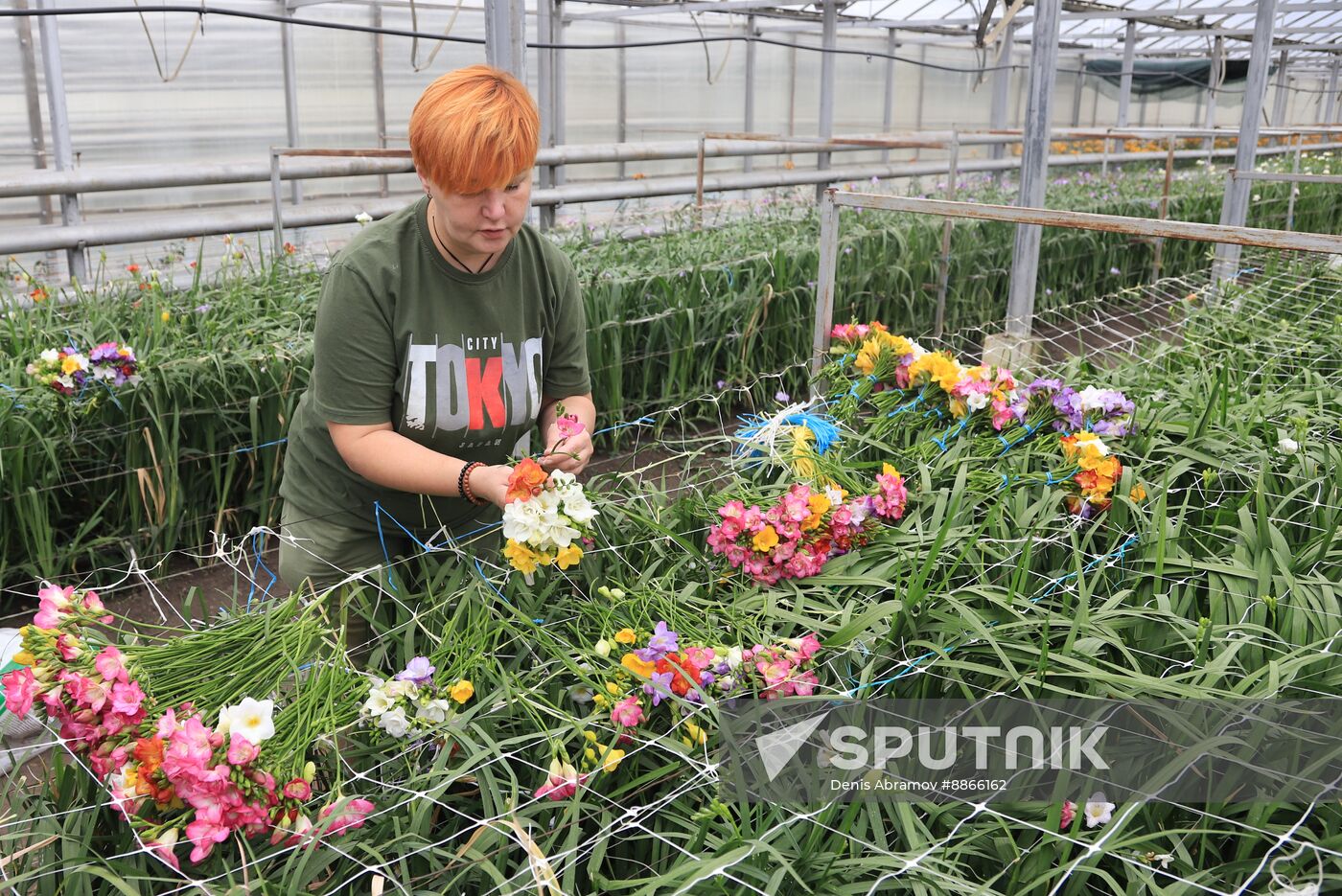 Russia Flower Growing