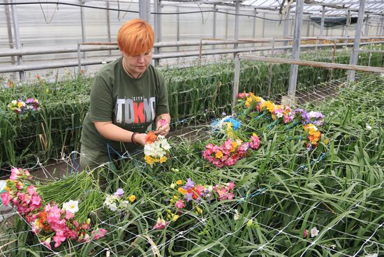 Russia Flower Growing