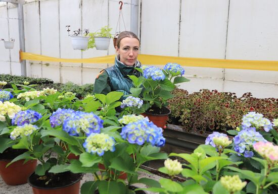 Russia Flower Growing