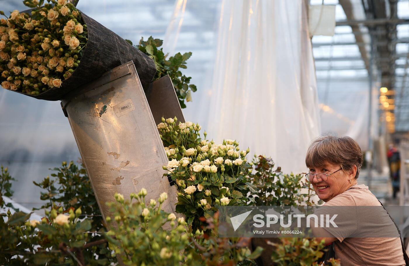 Russia Flower Growing