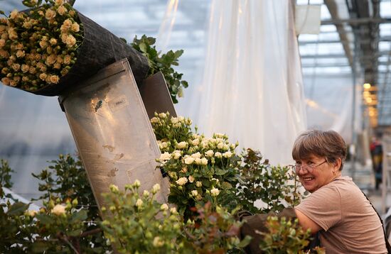 Russia Flower Growing