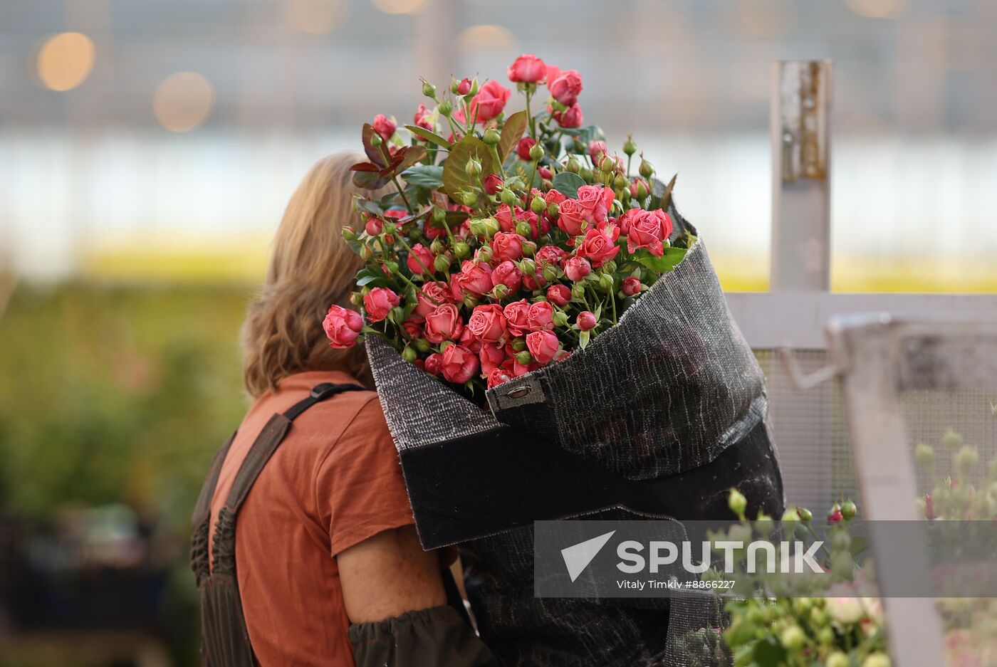 Russia Flower Growing