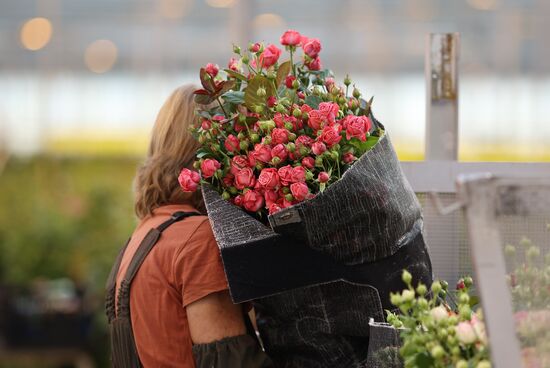 Russia Flower Growing