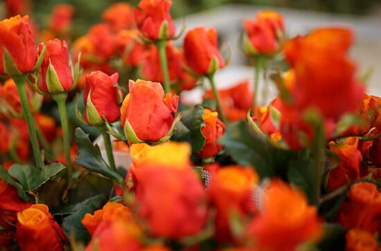Russia Flower Growing