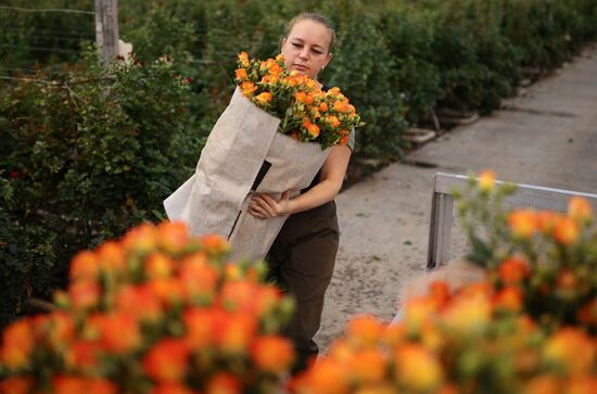 Russia Flower Growing