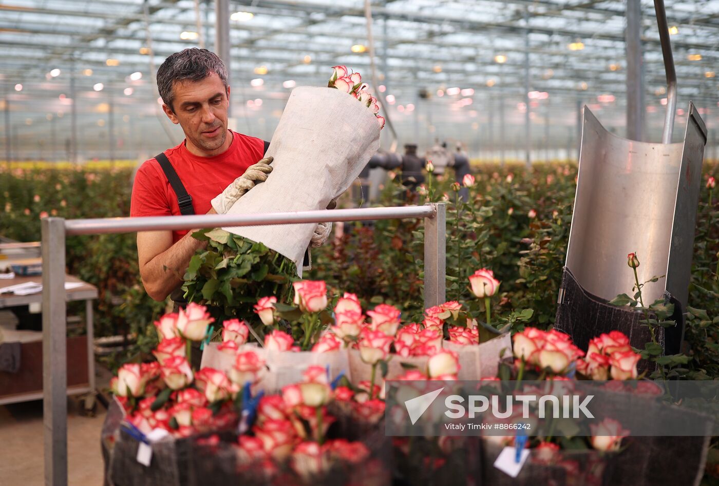 Russia Flower Growing