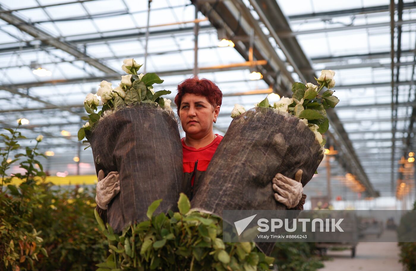 Russia Flower Growing