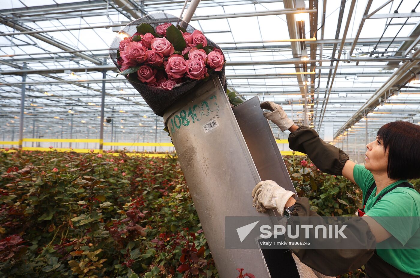 Russia Flower Growing