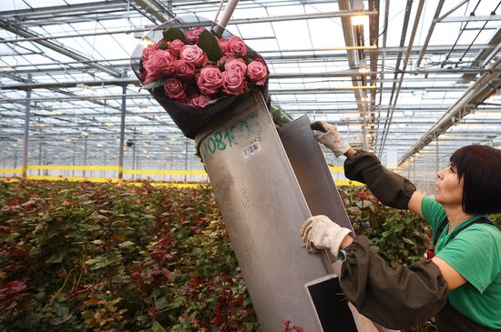 Russia Flower Growing