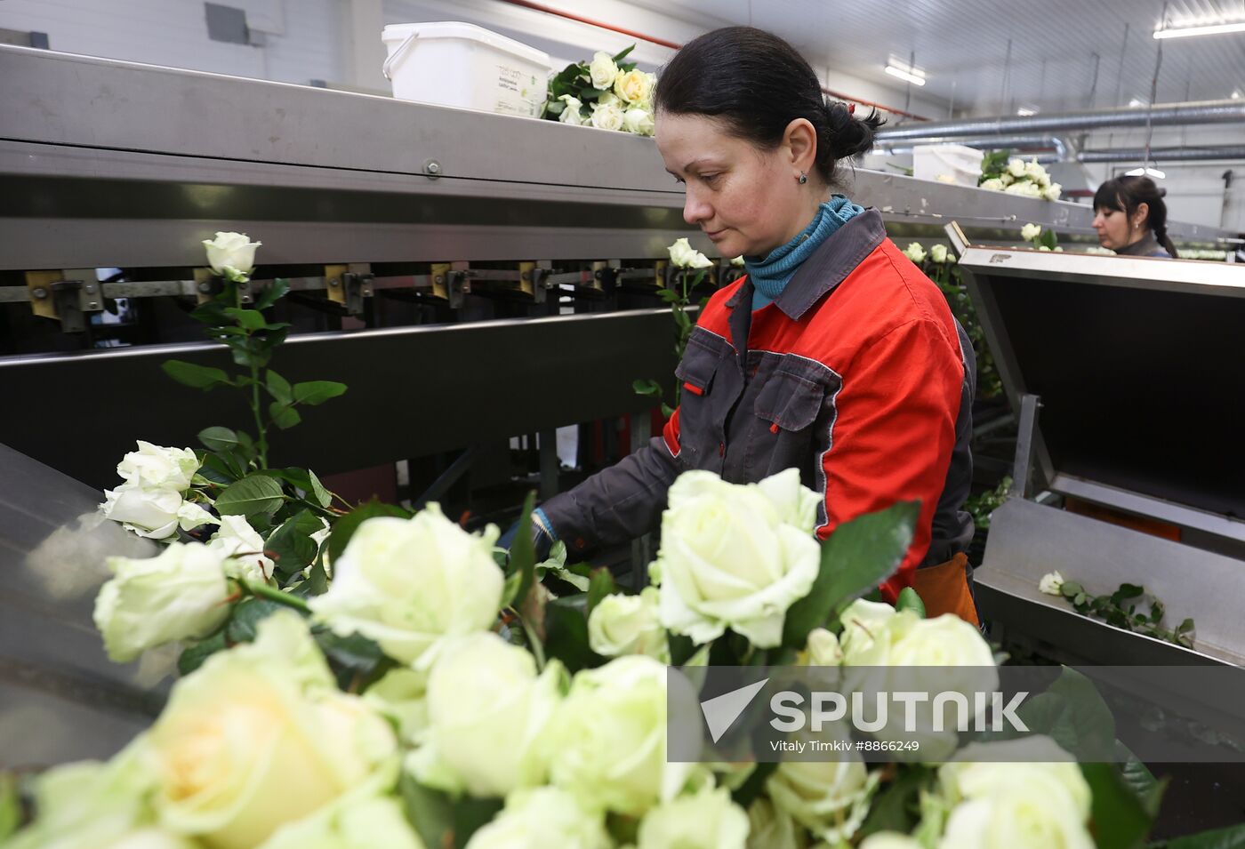 Russia Flower Growing