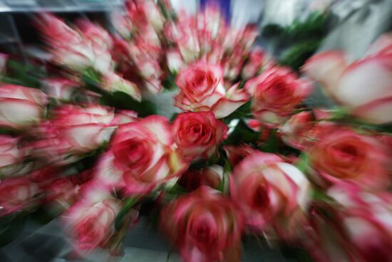 Russia Flower Growing