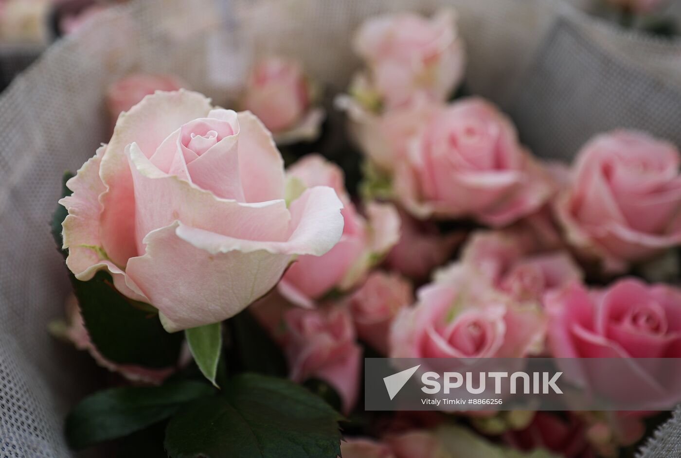 Russia Flower Growing