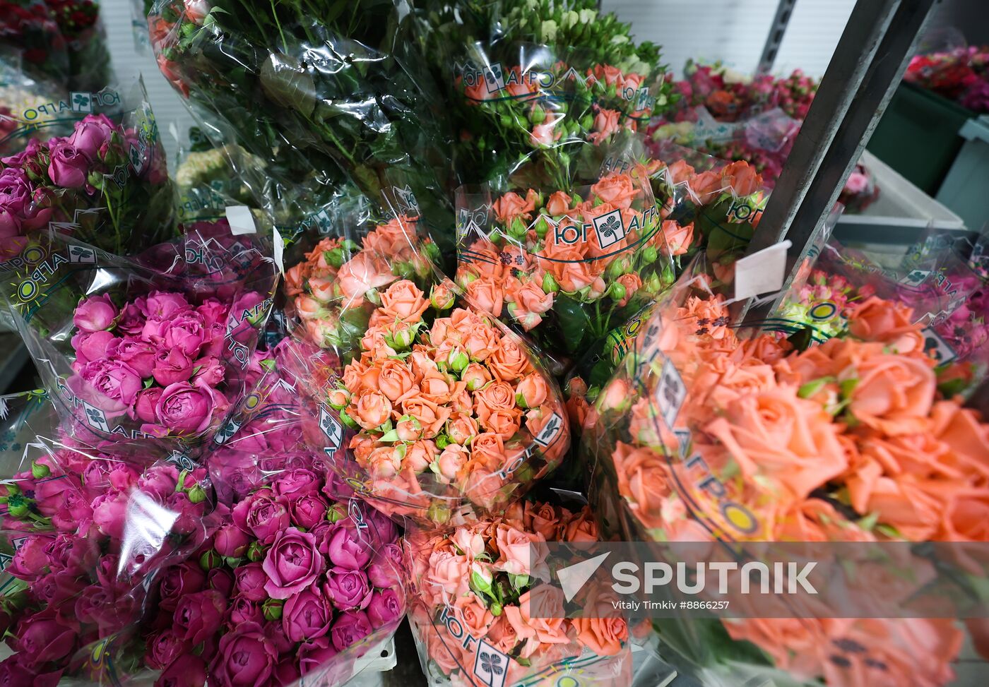 Russia Flower Growing