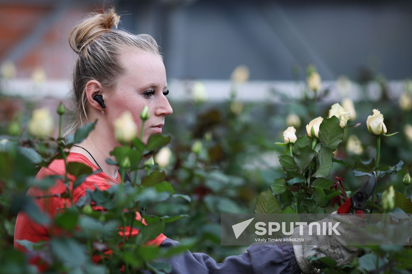 Russia Flower Growing