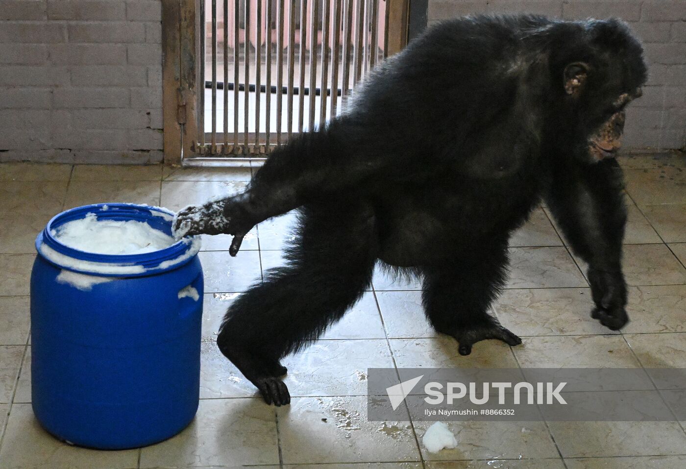 Russia Zoo