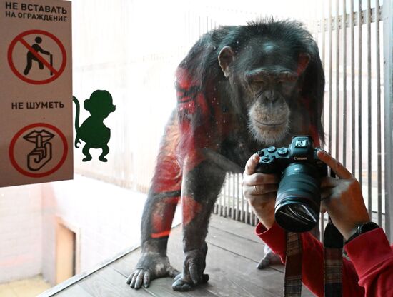 Russia Zoo