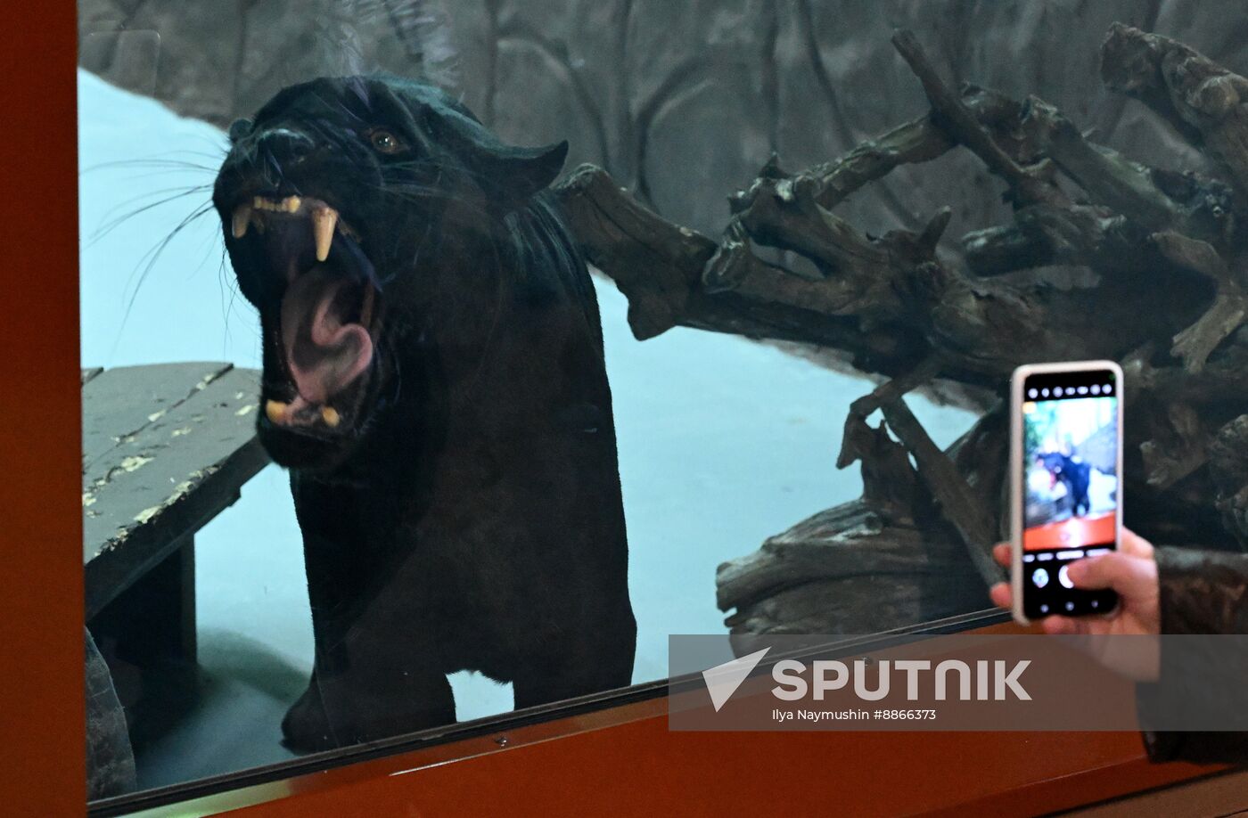 Russia Zoo