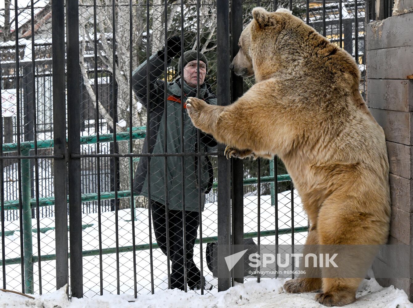Russia Zoo