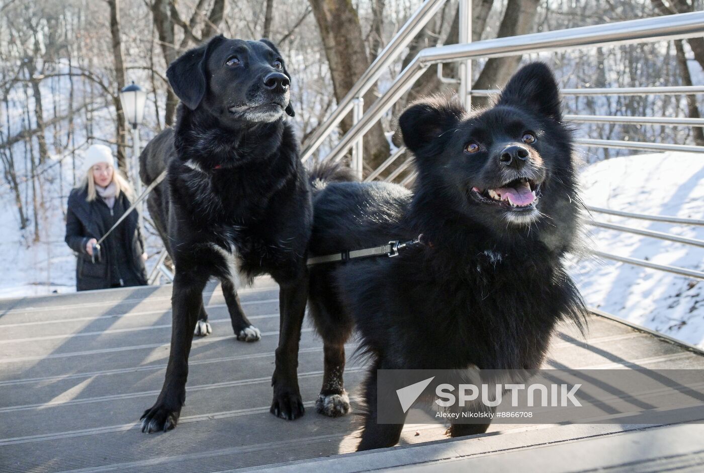 Russia Tourism Kolomenskoye Museum Reserve