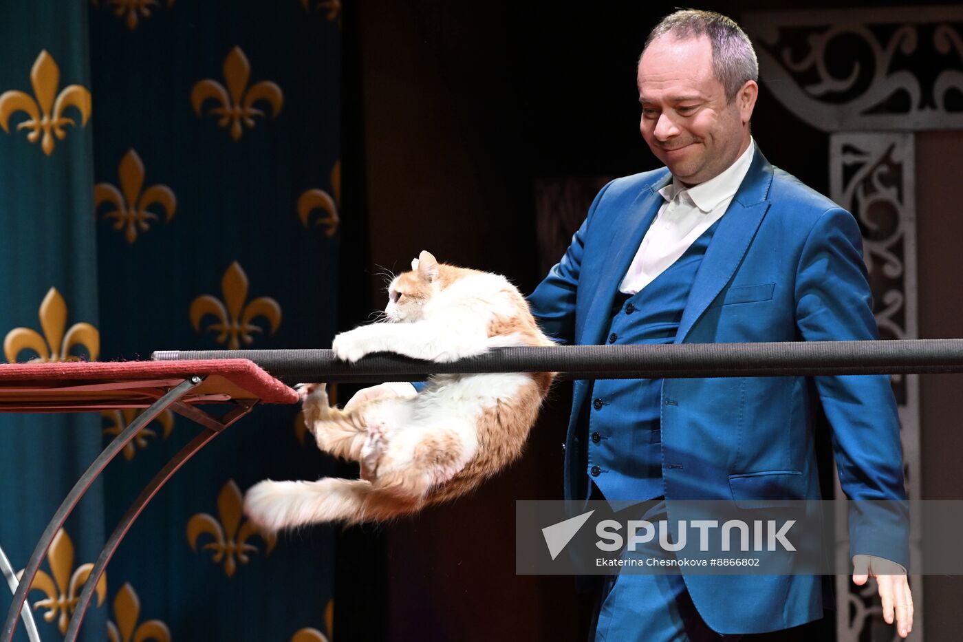 Russia Kuklachev Cats Theatre