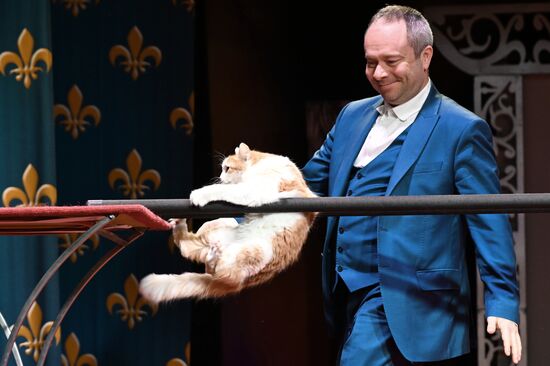 Russia Kuklachev Cats Theatre