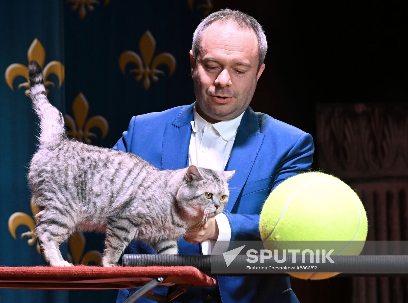 Russia Kuklachev Cats Theatre
