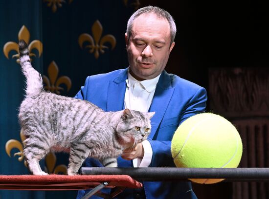 Russia Kuklachev Cats Theatre