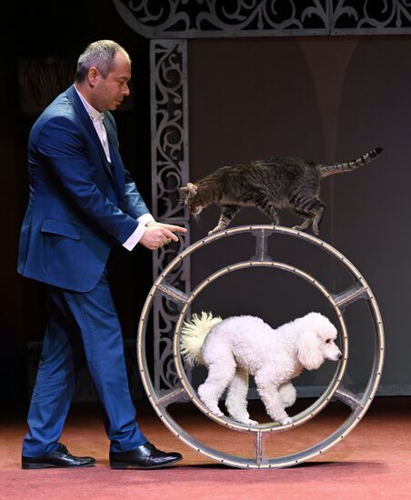 Russia Kuklachev Cats Theatre