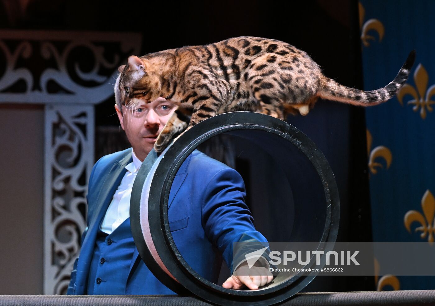 Russia Kuklachev Cats Theatre