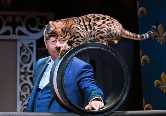 Russia Kuklachev Cats Theatre