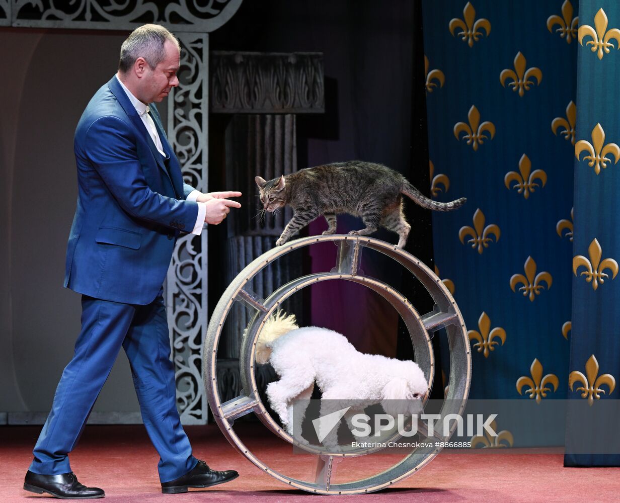 Russia Kuklachev Cats Theatre
