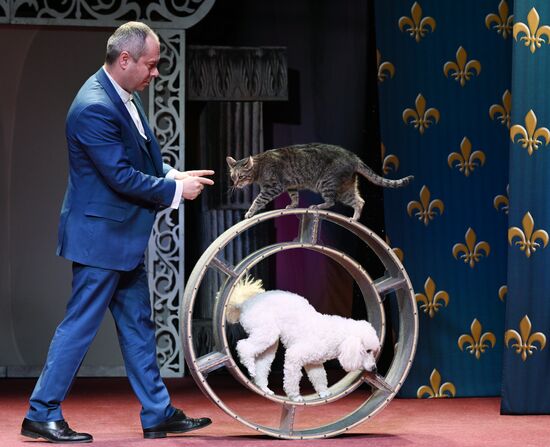 Russia Kuklachev Cats Theatre