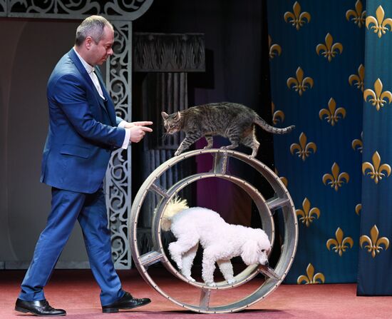 Russia Kuklachev Cats Theatre