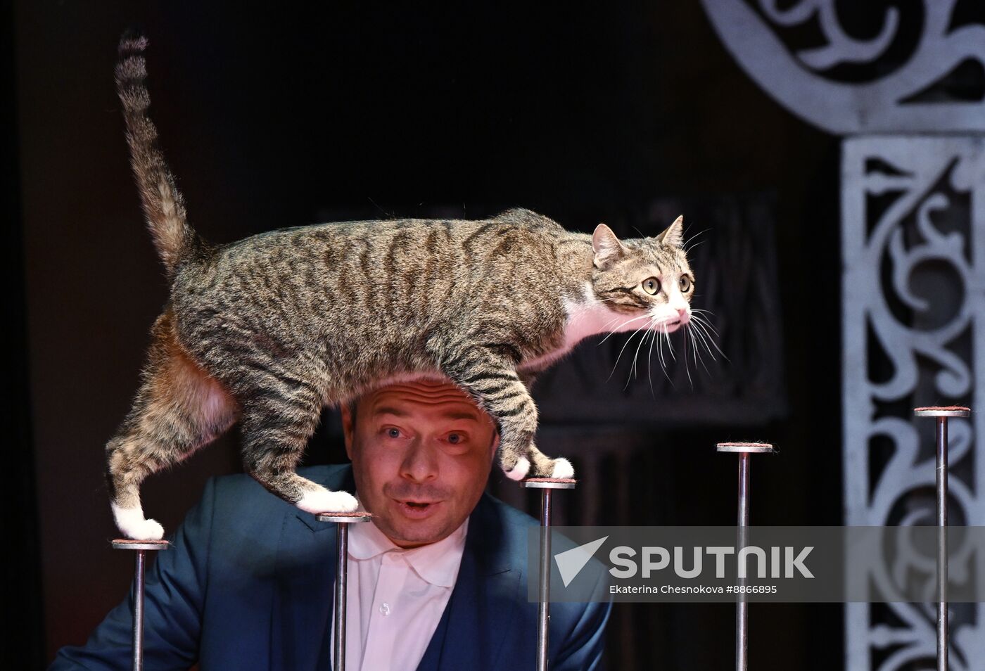 Russia Kuklachev Cats Theatre