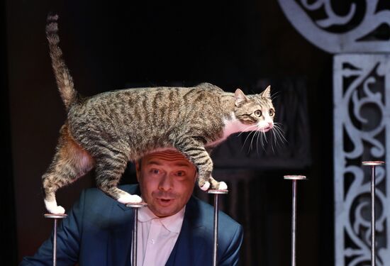 Russia Kuklachev Cats Theatre