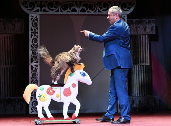 Russia Kuklachev Cats Theatre