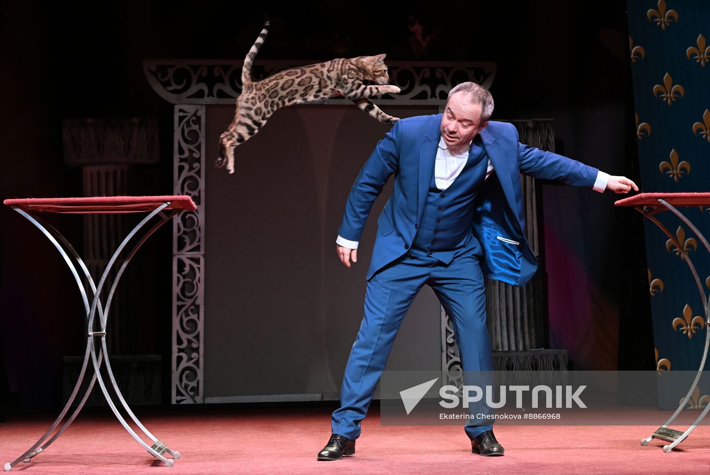Russia Kuklachev Cats Theatre