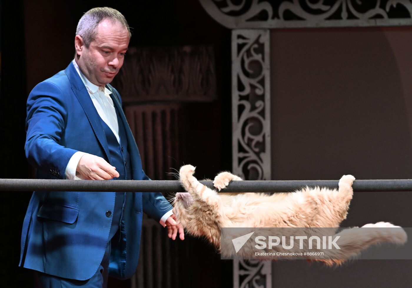 Russia Kuklachev Cats Theatre
