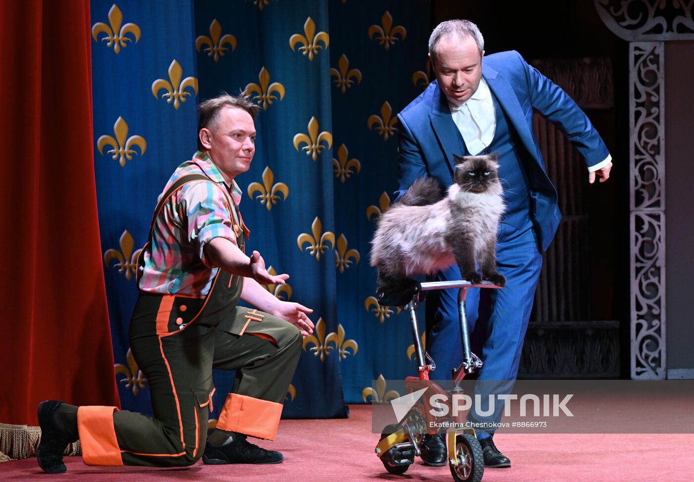 Russia Kuklachev Cats Theatre