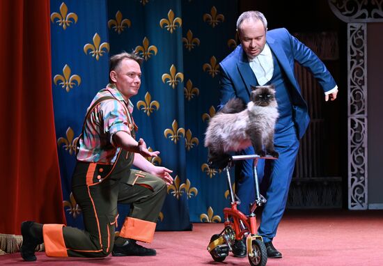 Russia Kuklachev Cats Theatre