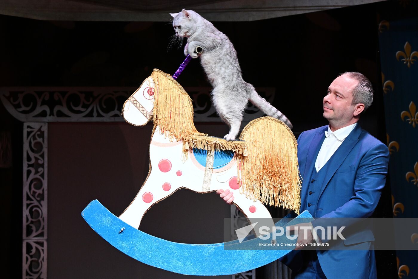 Russia Kuklachev Cats Theatre