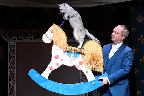 Russia Kuklachev Cats Theatre