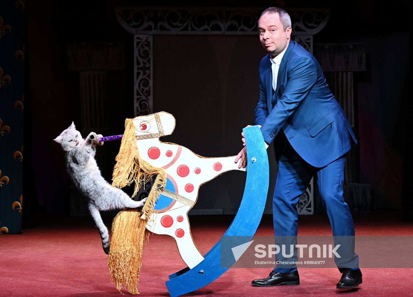 Russia Kuklachev Cats Theatre