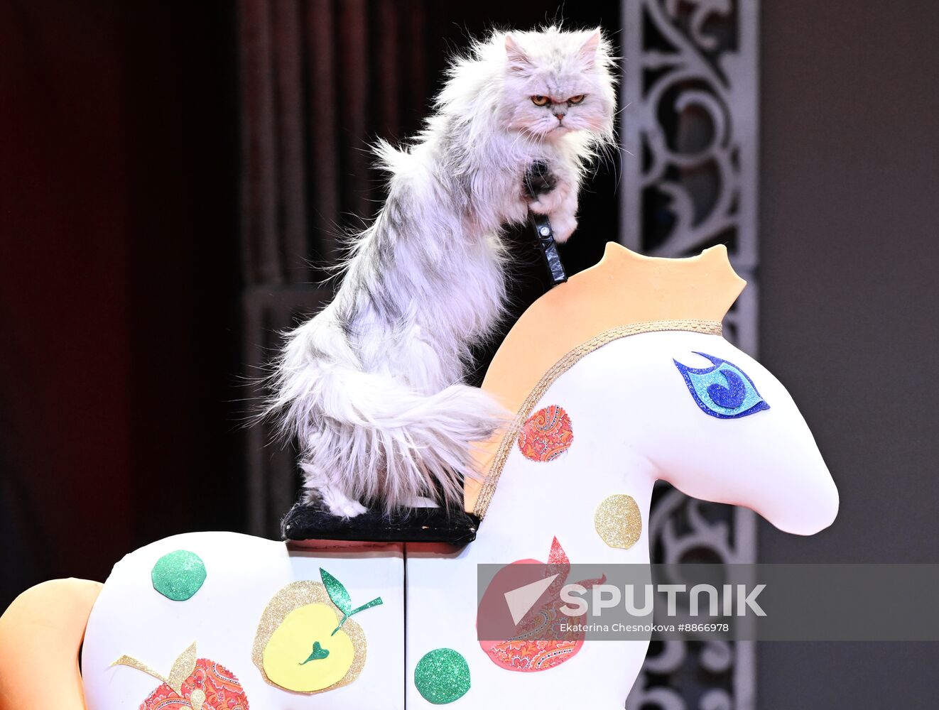 Russia Kuklachev Cats Theatre