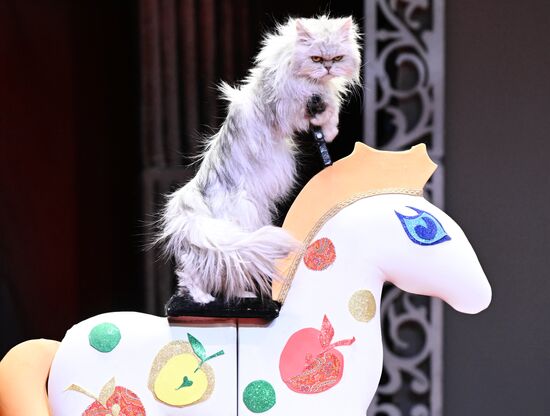 Russia Kuklachev Cats Theatre