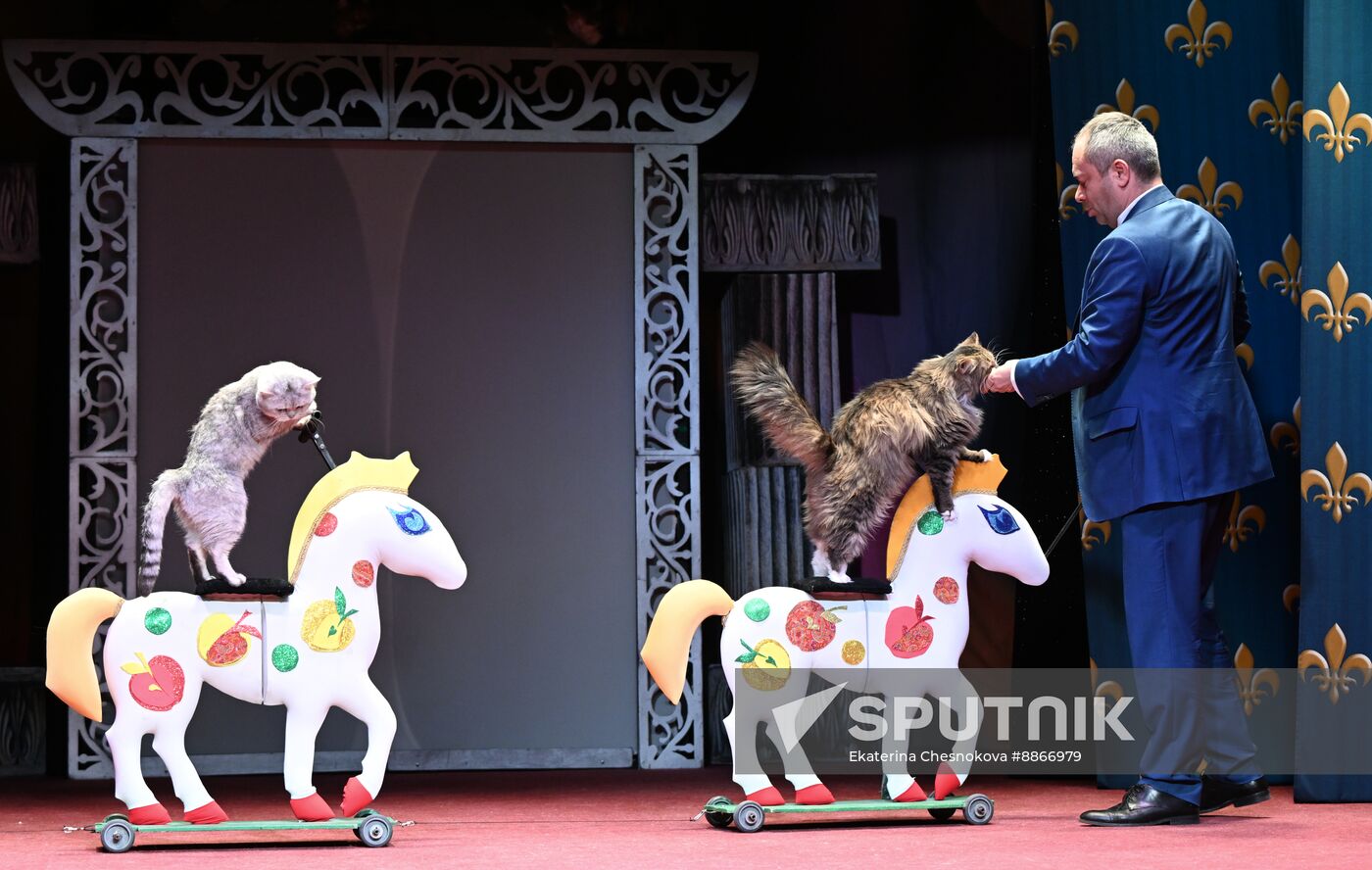 Russia Kuklachev Cats Theatre