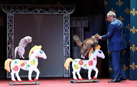 Russia Kuklachev Cats Theatre