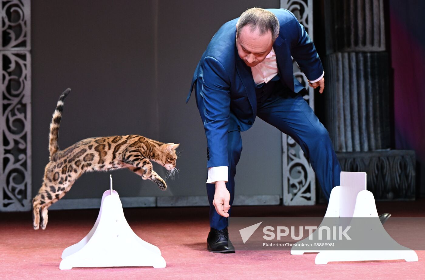 Russia Kuklachev Cats Theatre