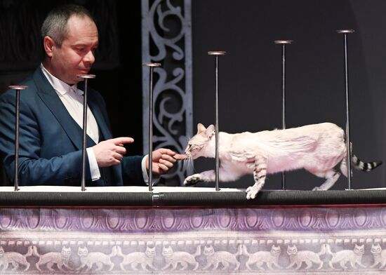 Russia Kuklachev Cats Theatre